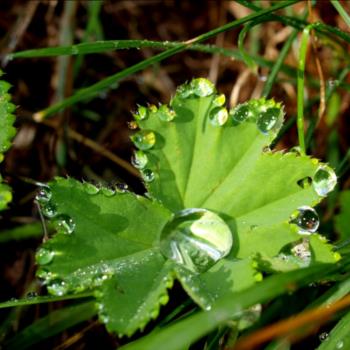Camping Libac - Fotogallery - Pontechianle - Valle Varaita - Cuneo