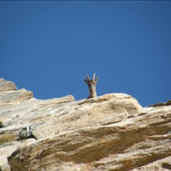 Camping Libac - Fotogallery - Pontechianle - Valle Varaita - Cuneo