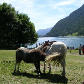 Camping Libac - Fotogallery - Pontechianle - Valle Varaita - Cuneo