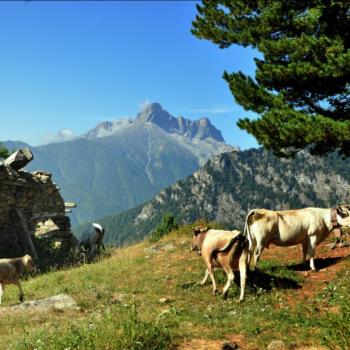 Camping Libac - Fotogallery - Pontechianle - Valle Varaita - Cuneo