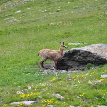 Camping Libac - Fotogallery - Pontechianle - Valle Varaita - Cuneo