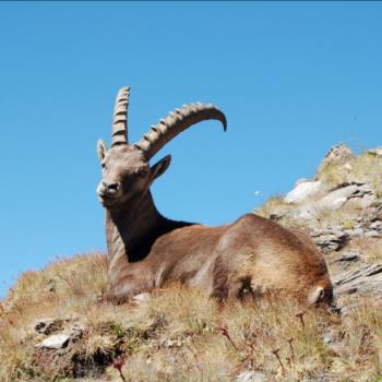 Camping Libac - Fotogallery - Pontechianle - Valle Varaita - Cuneo