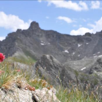 Camping Libac - Fotogallery - Pontechianle - Valle Varaita - Cuneo