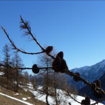 Camping Libac - Fotogallery - Pontechianle - Valle Varaita - Cuneo