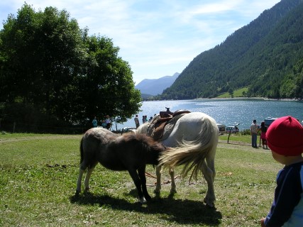 Camping Libac - Turismo - Pontechianle - Valle Varaita - Cuneo